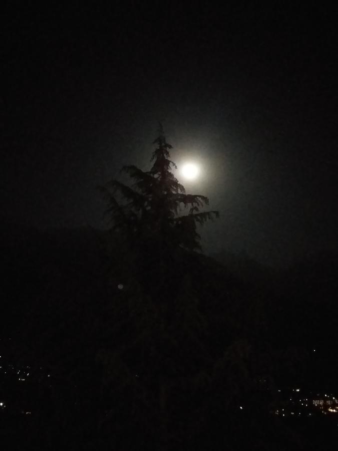 Hotel Seven Hills Manali Exteriör bild